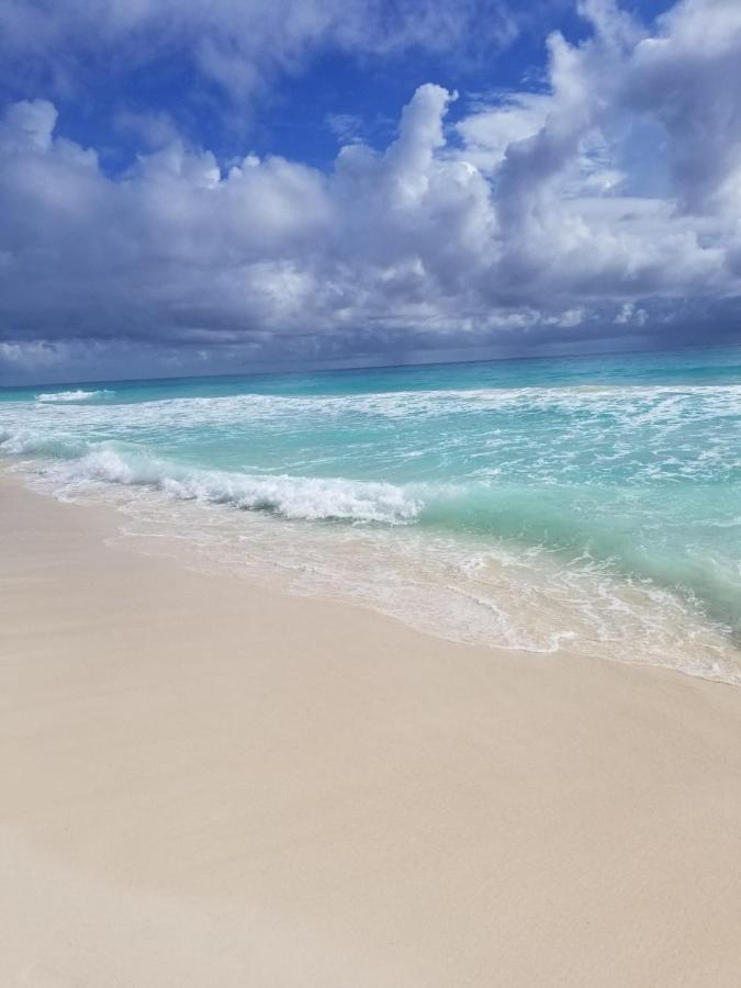 Amazing Caribbean Ocean View At Marlin In Apartment Cancún